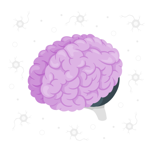 Brain illustration representing TMS neurostimulation therapy
